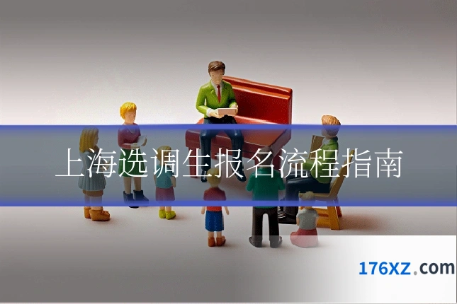 上海选调生报名流程指南