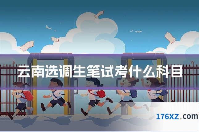 云南选调生笔试考什么科目