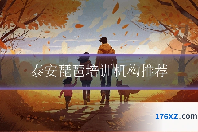泰安琵琶培训机构推荐