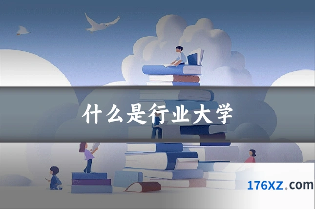 什么是行业大学