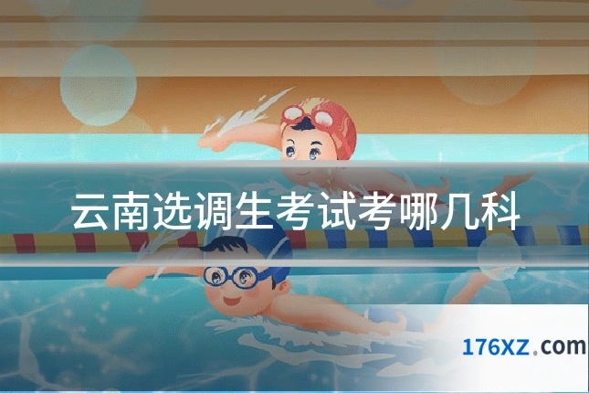 云南选调生考试考哪几科
