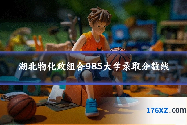 湖北物化政组合985大学录取分数线