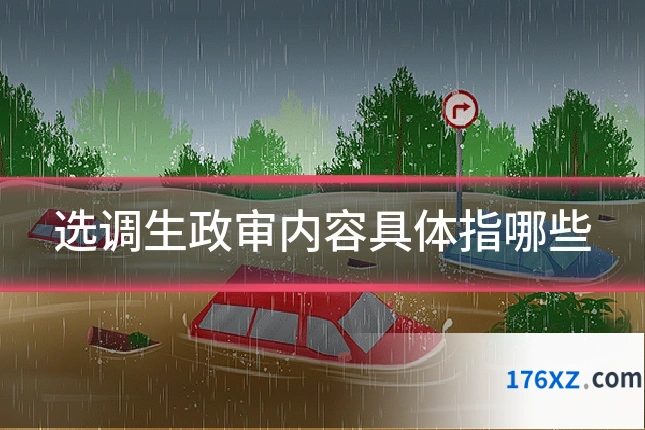 选调生政审内容具体指哪些