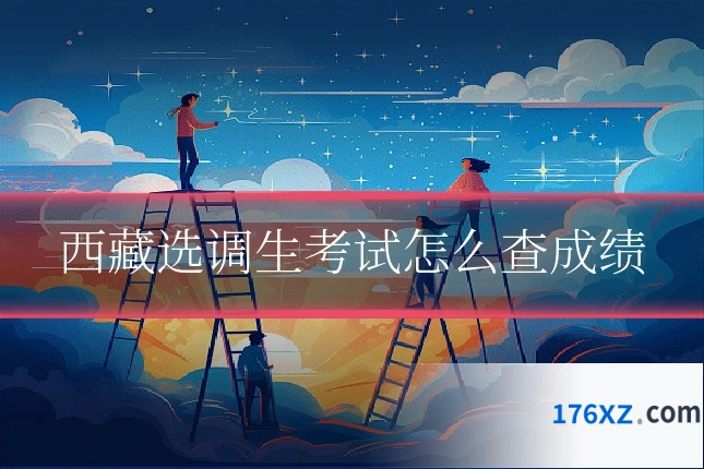 西藏选调生考试怎么查成绩