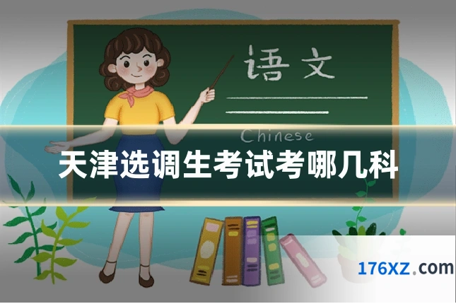 天津选调生考试考哪几科