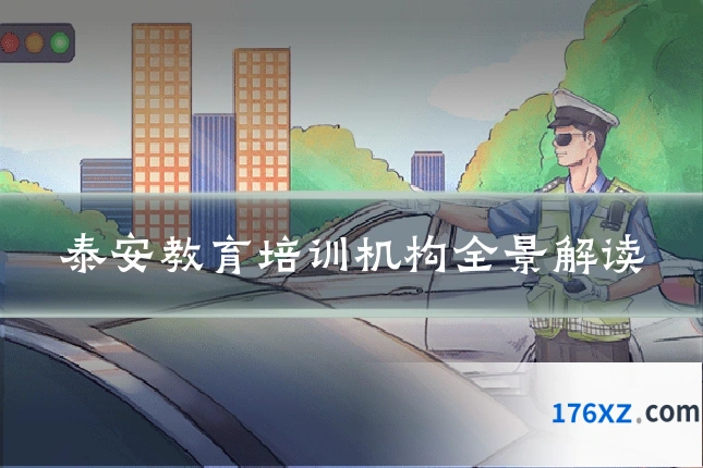 泰安教育培训机构全景解读