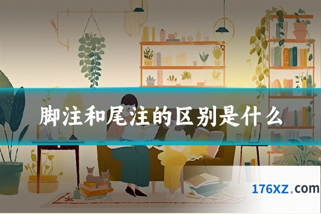 脚注和尾注的区别是什么