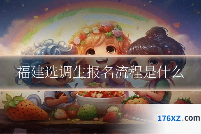 福建选调生报名流程是什么