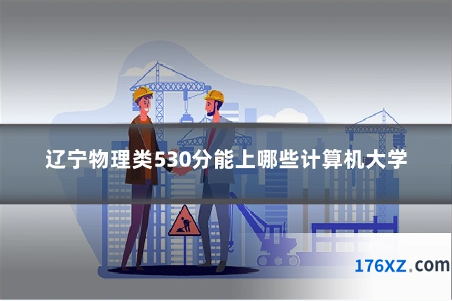辽宁物理类530分能上哪些计算机大学