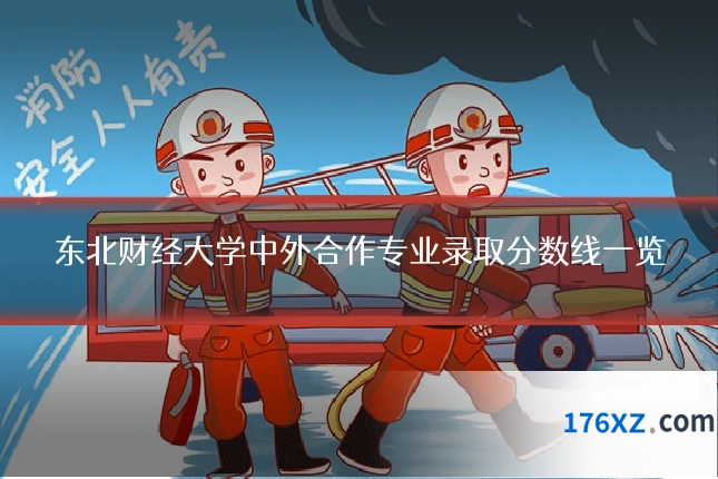 东北财经大学中外合作专业录取分数线一览