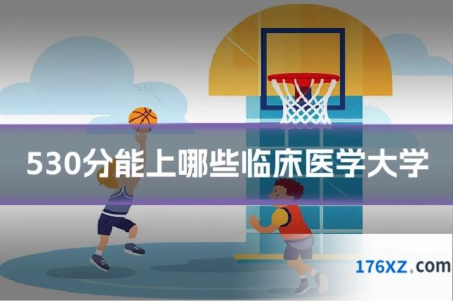 530分能上哪些临床医学大学