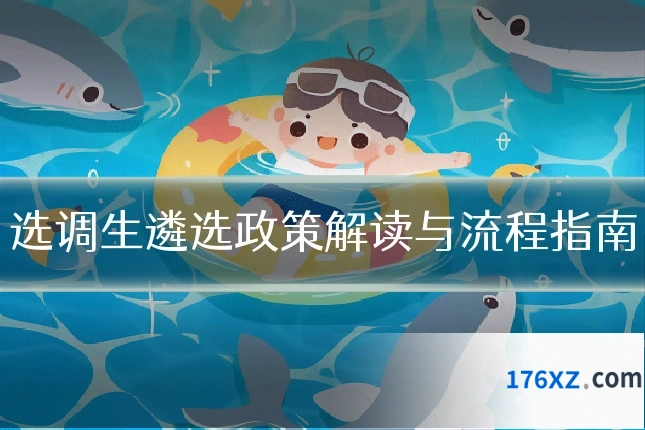 选调生遴选政策解读与流程指南