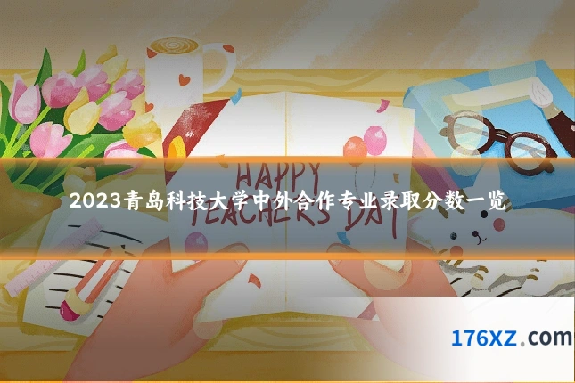2023青岛科技大学中外合作专业录取分数一览