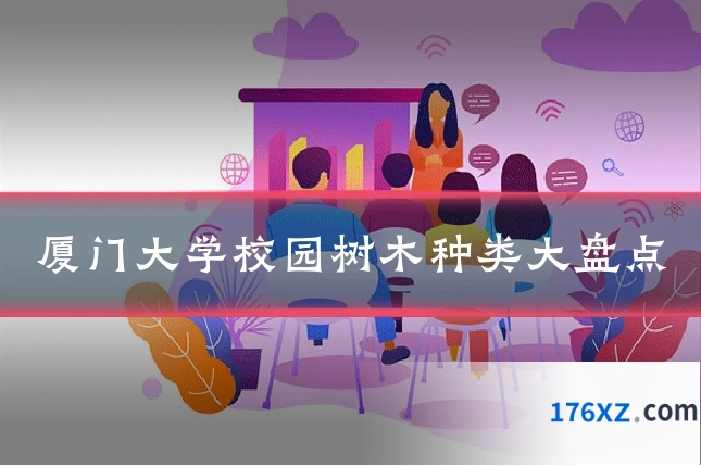厦门大学校园树木种类大盘点