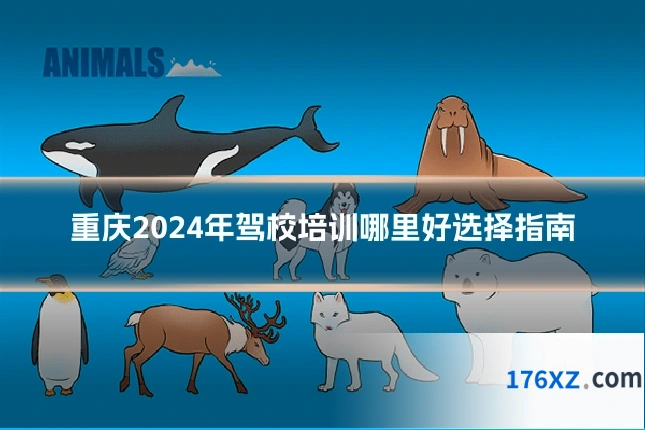 重庆2024年驾校培训哪里好选择指南