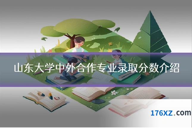 山东大学中外合作专业录取分数介绍