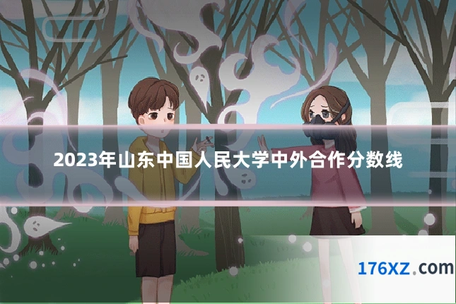 2023年山东中国人民大学中外合作分数线