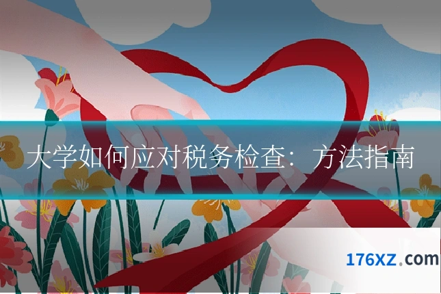 大学如何应对税务检查：方法指南