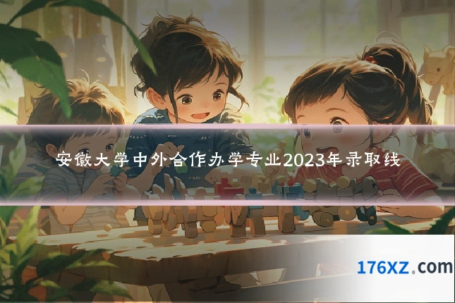 安徽大学中外合作办学专业2023年录取线