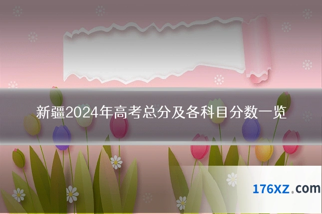 新疆2024年高考总分及各科目分数一览