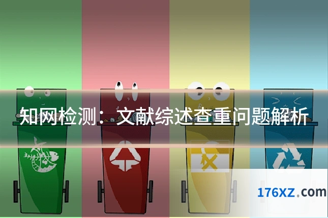 知网检测：文献综述查重问题解析