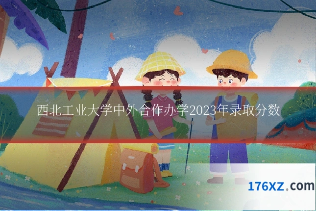 西北工业大学中外合作办学2023年录取分数