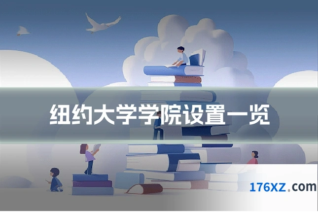 纽约大学学院设置一览