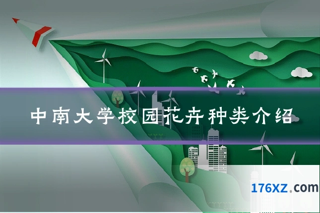 中南大学校园花卉种类介绍
