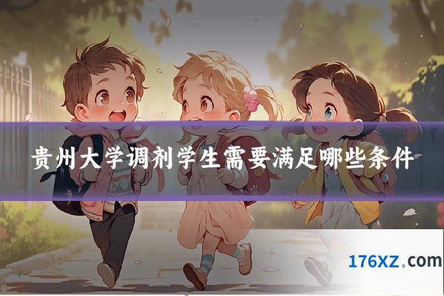 贵州大学调剂学生需要满足哪些条件