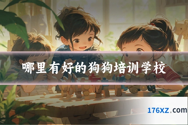 哪里有好的狗狗培训学校