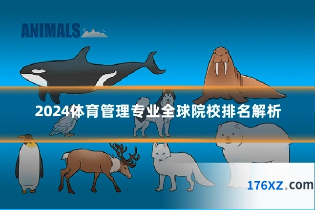 2024体育管理专业全球院校排名解析