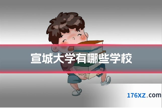 宣城大学有哪些学校