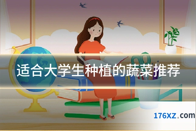 适合大学生种植的蔬菜推荐
