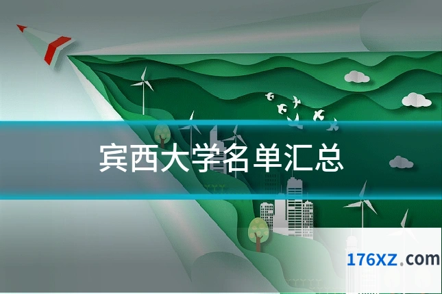 宾西大学名单汇总