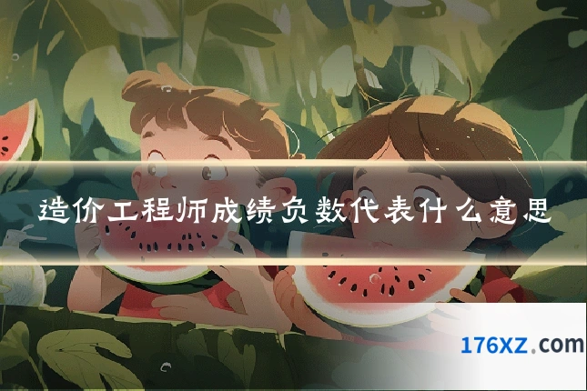 造价工程师成绩负数代表什么意思