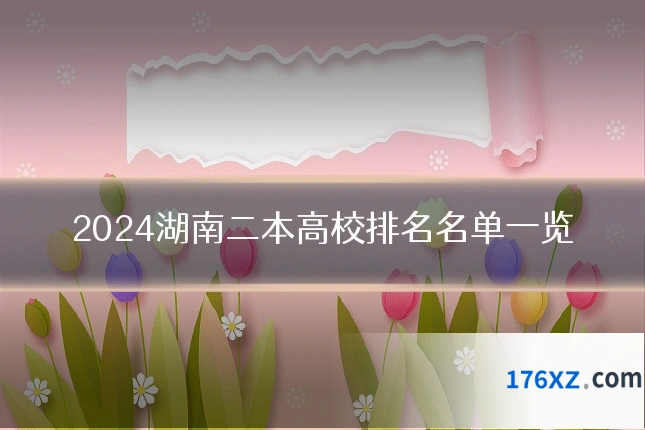 2024湖南二本高校排名名单一览