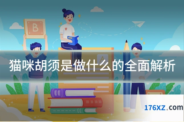 猫咪胡须是做什么的全面解析