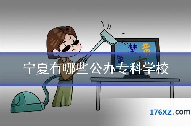 宁夏有哪些公办专科学校