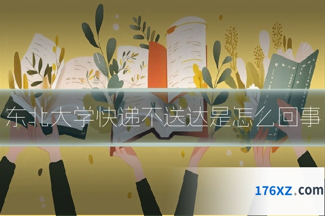 东北大学快递不送达是怎么回事