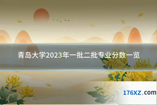 青岛大学2023年一批二批专业分数一览