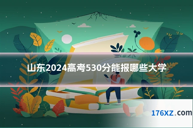 山东2024高考530分能报哪些大学