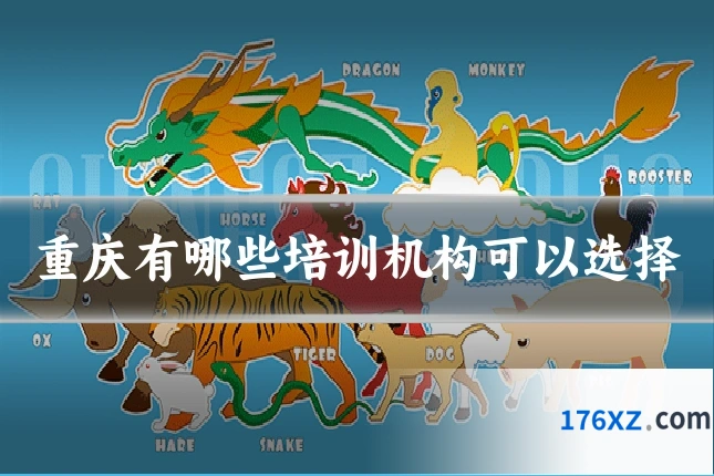 重庆有哪些培训机构可以选择