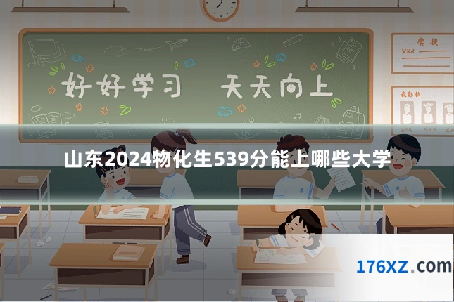 山东2024物化生539分能上哪些大学