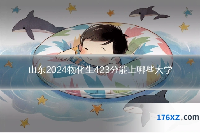 山东2024物化生423分能上哪些大学