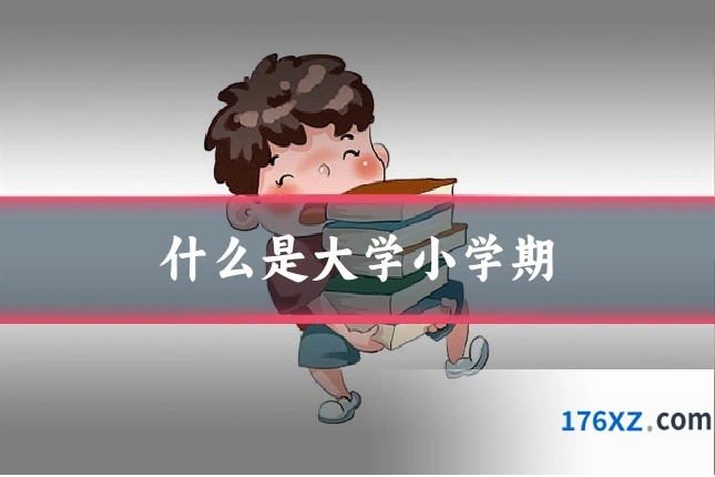 什么是大学小学期