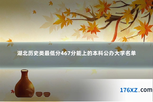 湖北历史类最低分467分能上的本科公办大学名单
