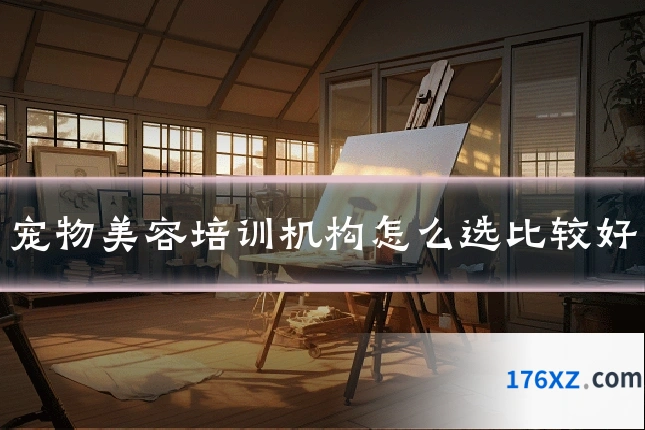 宠物美容培训机构怎么选比较好