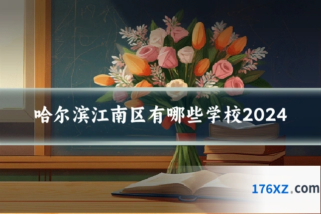 哈尔滨江南区有哪些学校2024