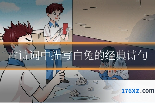 古诗词中描写白兔的经典诗句