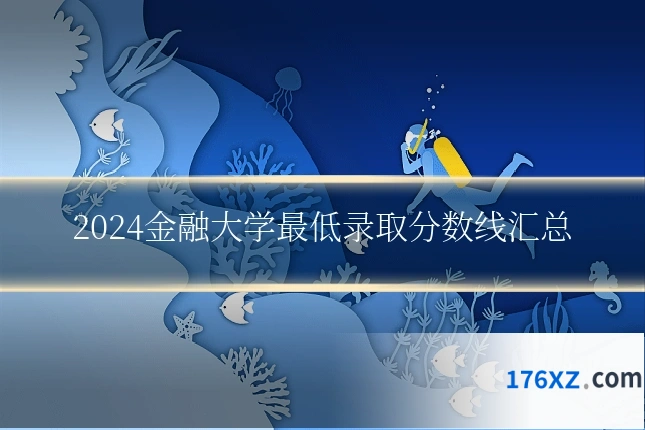 2024金融大学最低录取分数线汇总